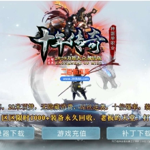 6月十年神器大众激情单职业免费服务端-带假人-带光柱-GOM引擎