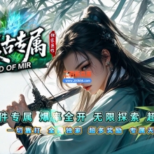 02月顺丰复古专属神器攻速单职业传奇版本-第七大陆-单机传奇-GOM引擎